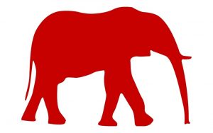 Red Elephant logo