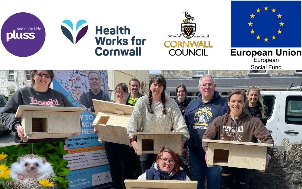 Making hedgehog houses with Health Works for Cornwall