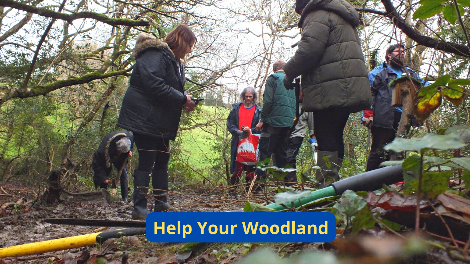 Help Your Woodland
