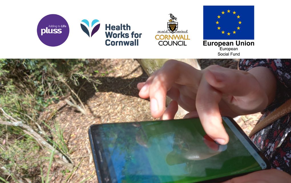 Digital Wellbeing Walks