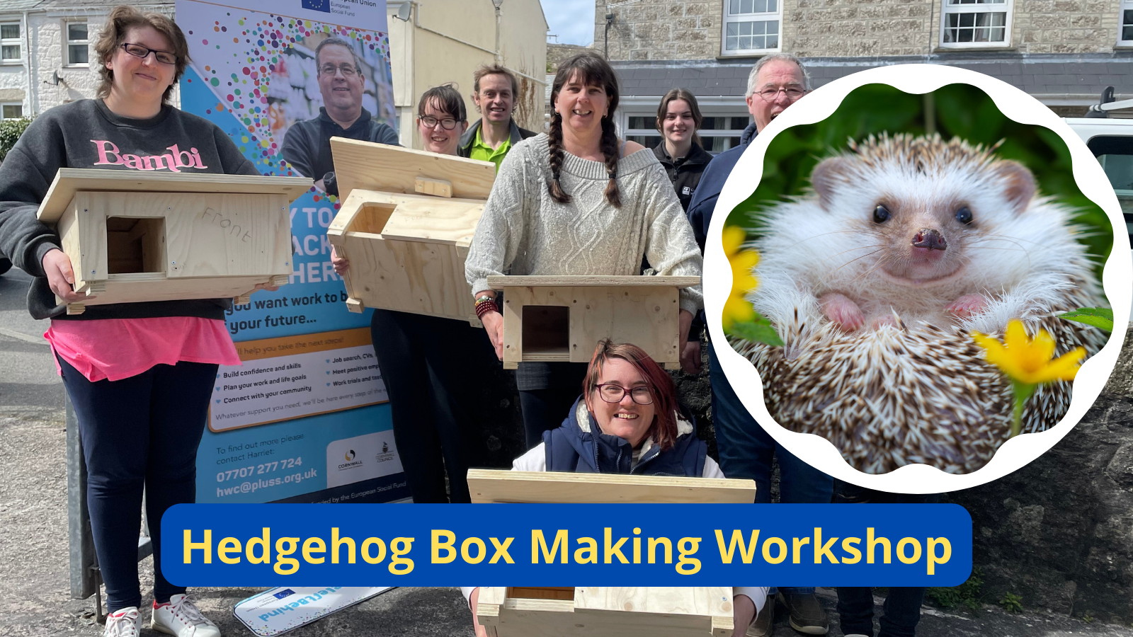 Hedgehog Box Making