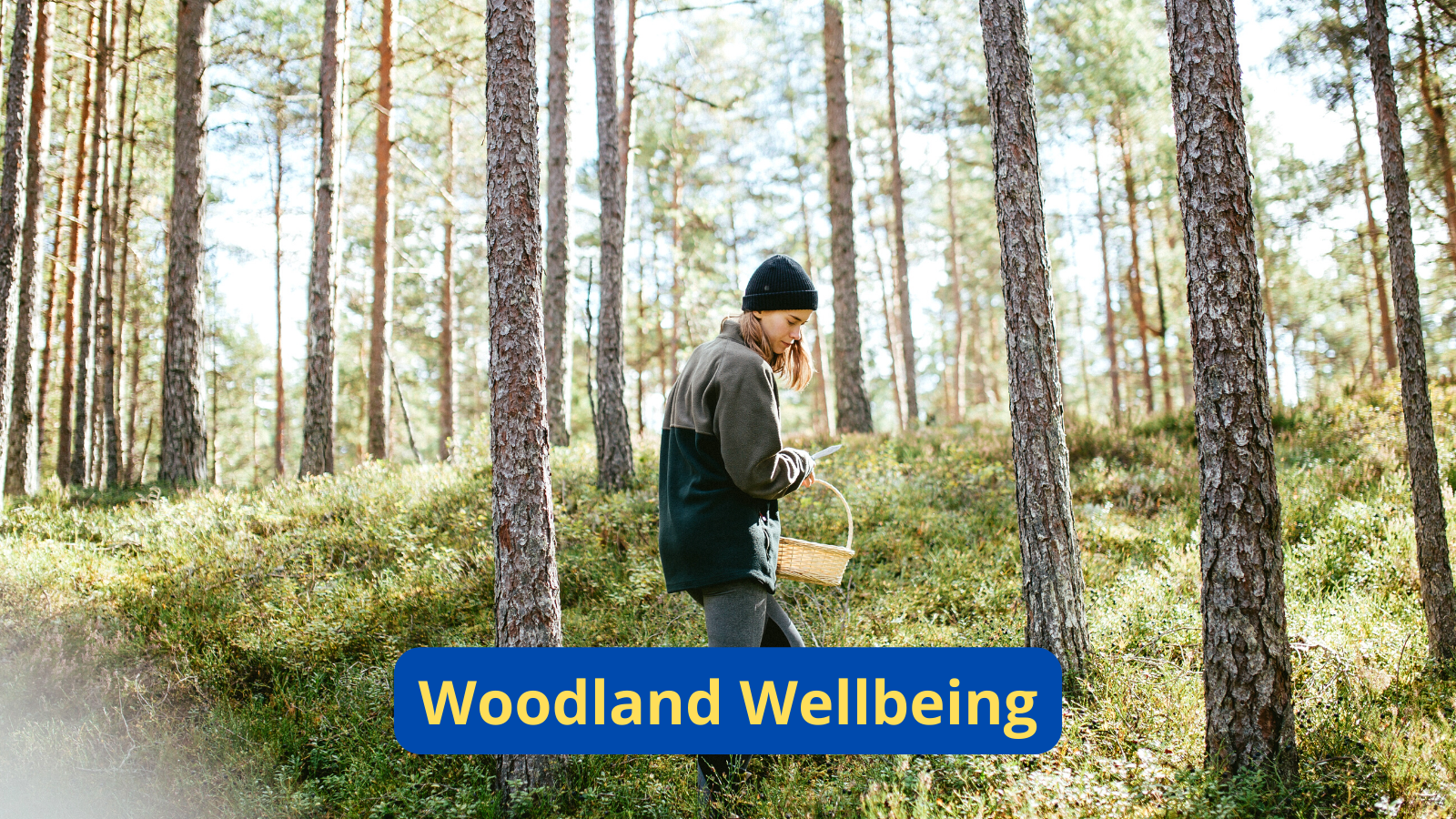 Woodland Wellbeing